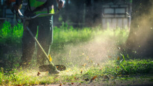 Best Electric Weed Eaters for Home Lawn Maintenance
