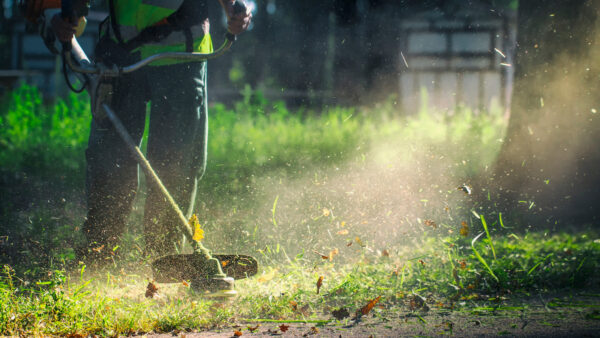 Best Electric Weed Eater